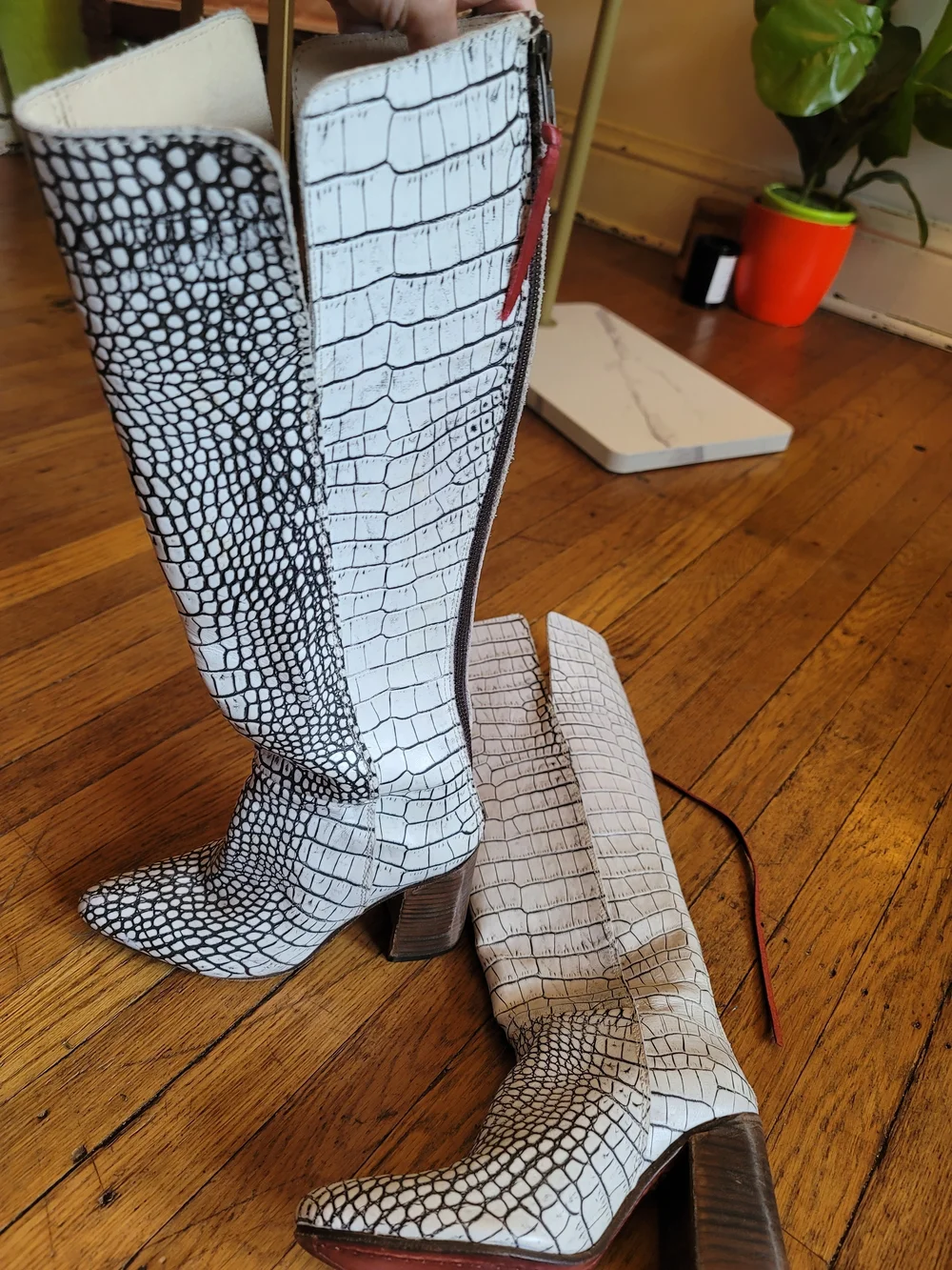 Freebird By Steve Madden White Croc-Embossed Jasper Knee-High Block Heel Boots